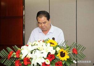 洛南爆料最新新闻,最新新闻事件深度解析  第1张